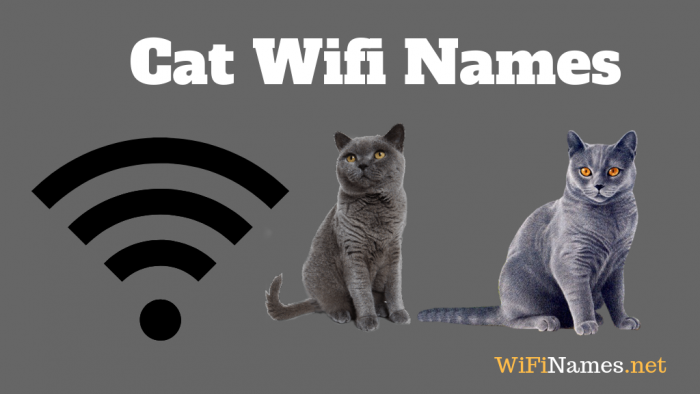 Cat Wifi Names